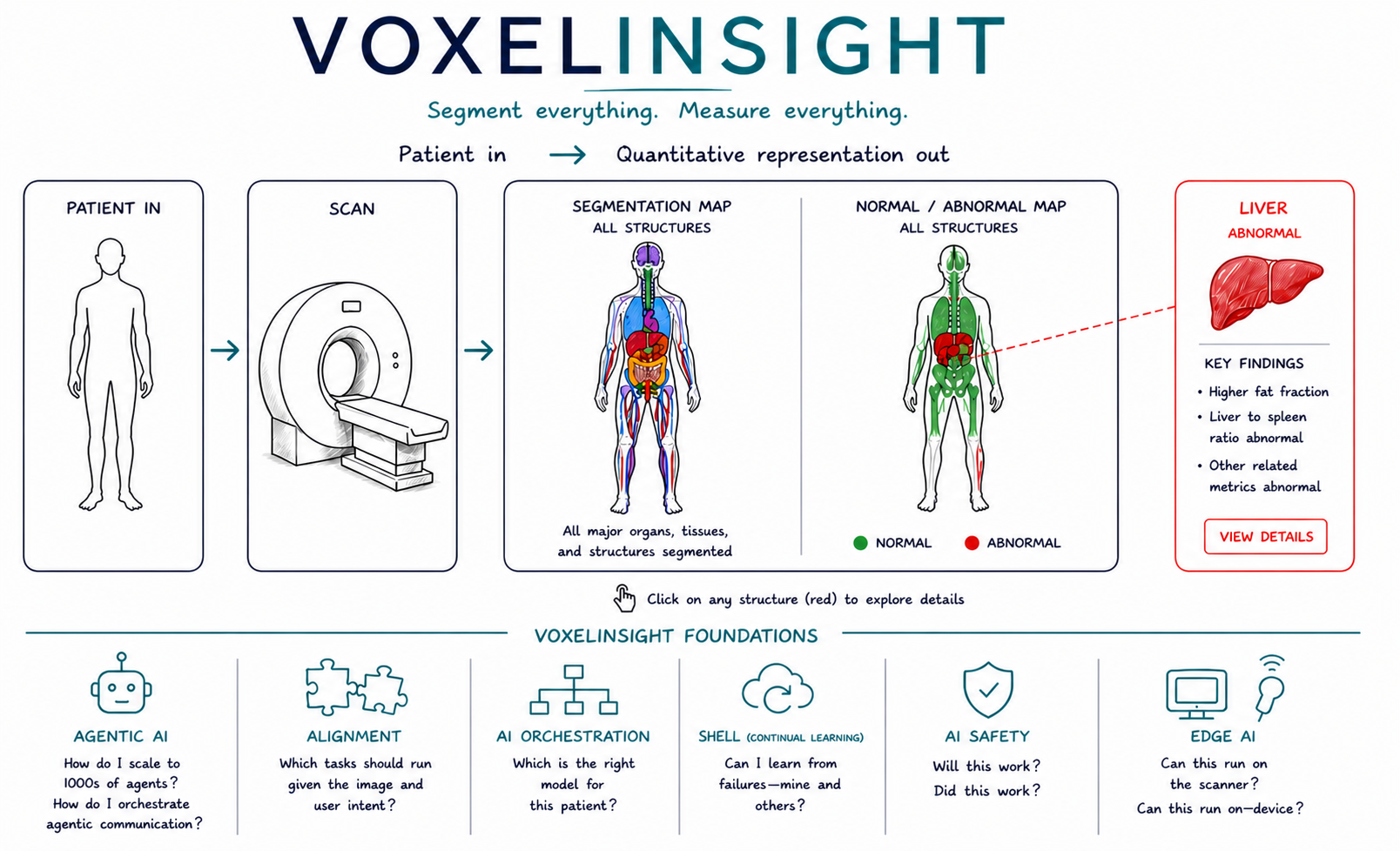 VoxelInsight
